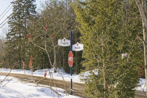 Autre - 485 Ch. Du Moulin, Sainte-Adèle, QC - Outdoor With View