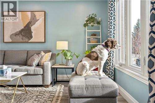 18 Marisa Court, Hamilton, ON - Indoor Photo Showing Living Room