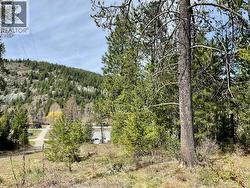 451 Ponderosa Lane Greenwood, BC V0H 1J0