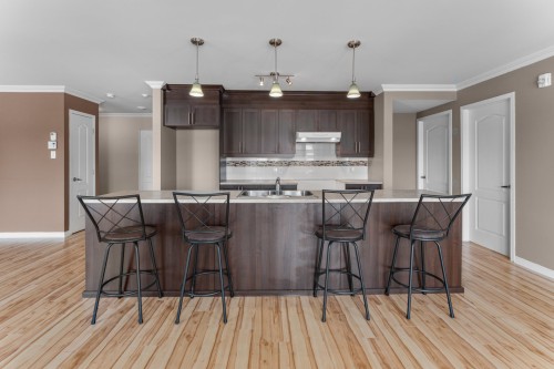 Kitchen - 10-919 Mtée Masson, Mascouche, QC - Indoor Photo Showing Kitchen With Upgraded Kitchen