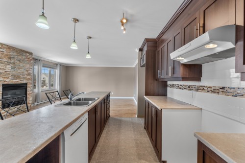 Kitchen - 10-919 Mtée Masson, Mascouche, QC - Indoor Photo Showing Kitchen With Double Sink