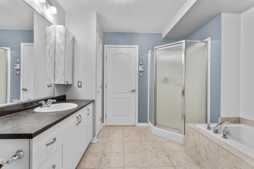 Bathroom - 10-919 Mtée Masson, Mascouche, QC - Indoor Photo Showing Bathroom