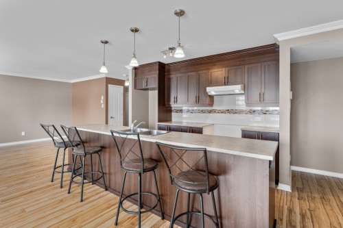 Kitchen - 10-919 Mtée Masson, Mascouche, QC - Indoor Photo Showing Kitchen With Upgraded Kitchen