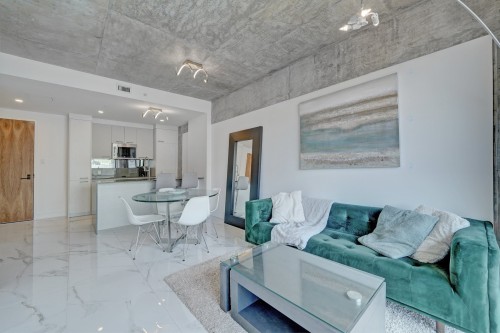 Vue d'ensemble - 710-1575 Rue Gareau, Montréal (Ville-Marie), QC - Indoor