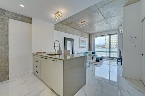 Vue d'ensemble - 710-1575 Rue Gareau, Montréal (Ville-Marie), QC - Indoor Photo Showing Kitchen