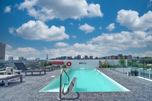 Piscine - 710-1575 Rue Gareau, Montréal (Ville-Marie), QC - Outdoor With In Ground Pool With View