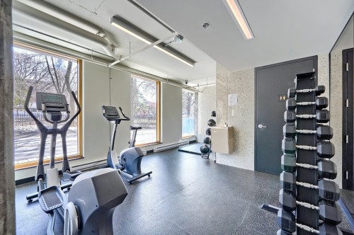 Salle d'exercice - 710-1575 Rue Gareau, Montréal (Ville-Marie), QC - Indoor Photo Showing Gym Room
