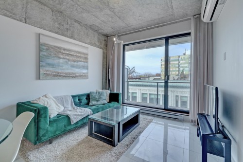 Salon - 710-1575 Rue Gareau, Montréal (Ville-Marie), QC - Indoor Photo Showing Living Room