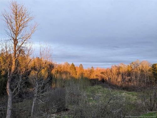 57 Phillips Rd, Charters Settlement, NB 