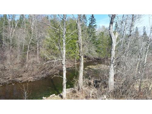 57 Phillips Rd, Charters Settlement, NB 