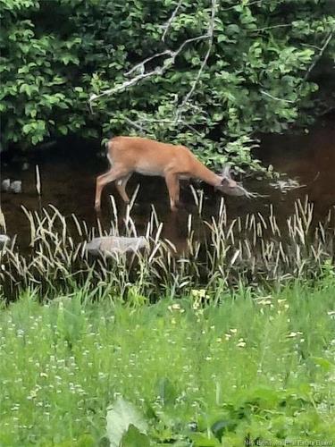 57 Phillips Rd, Charters Settlement, NB 