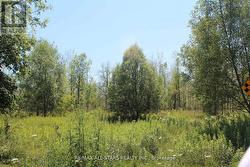 0 METRO ROAD  Georgina, ON L4P 3G1