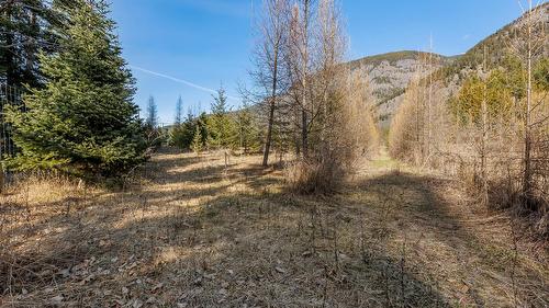 4751 40Th Street, Canyon, BC - Outdoor With View