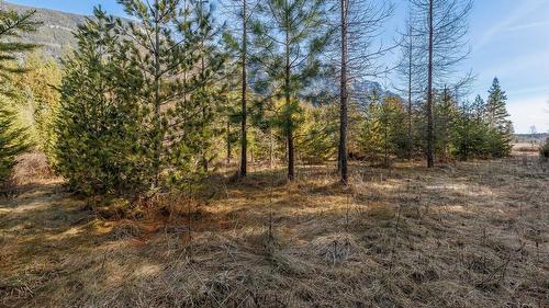 4751 40Th Street, Canyon, BC - Outdoor With View