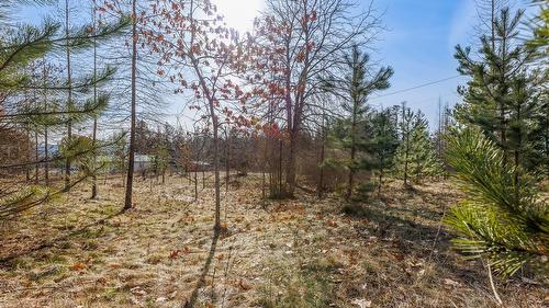 4751 40Th Street, Canyon, BC - Outdoor With View