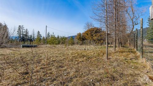 4751 40Th Street, Canyon, BC - Outdoor With View