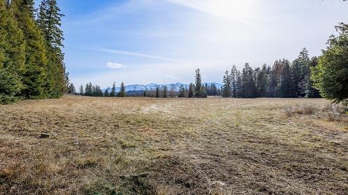 4751 40Th Street, Canyon, BC - Outdoor With View