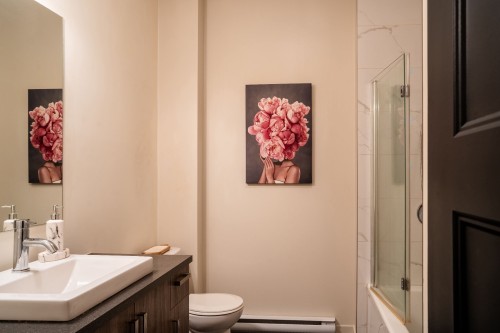 Salle de bains - 109-8265 Rue De Londres, Brossard, QC - Indoor Photo Showing Bathroom