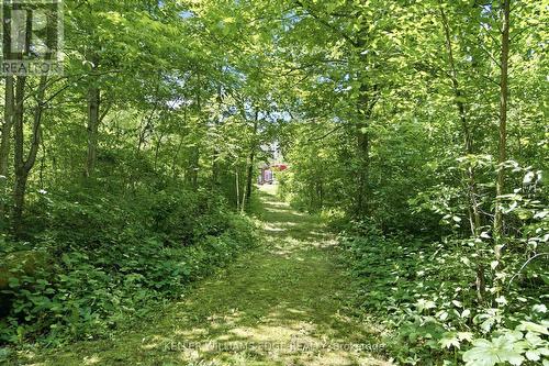 484 11Th Concession Road E, Hamilton, ON - Outdoor
