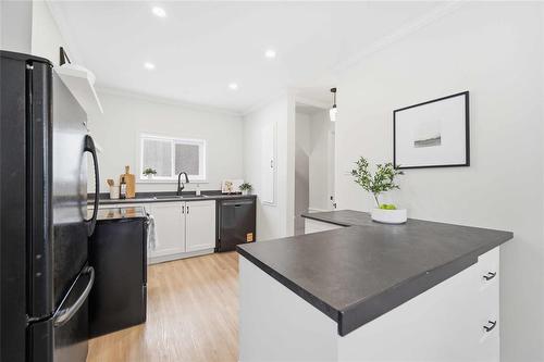 1240 Dominion Street, Winnipeg, MB - Indoor Photo Showing Kitchen With Double Sink