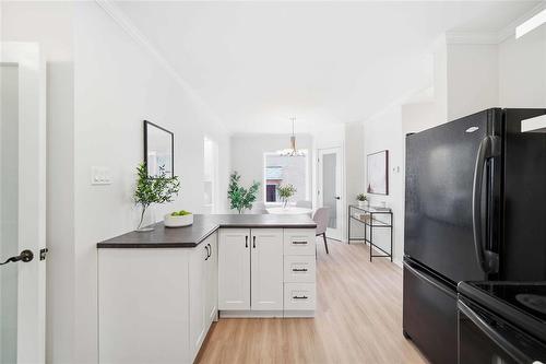 1240 Dominion Street, Winnipeg, MB - Indoor Photo Showing Kitchen
