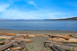 1550 Dalziel Rd Denman Island, BC V0R 1T0