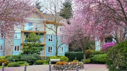 304-494 Marsett Pl Saanich, BC V8Z 7J1