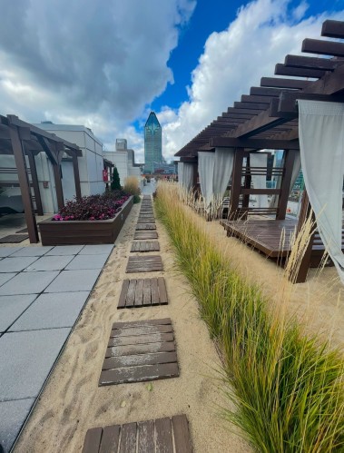 Autre - 306-1010 Rue William, Montréal (Le Sud-Ouest), QC - Outdoor