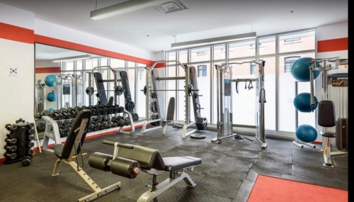 Autre - 306-1010 Rue William, Montréal (Le Sud-Ouest), QC - Indoor Photo Showing Gym Room