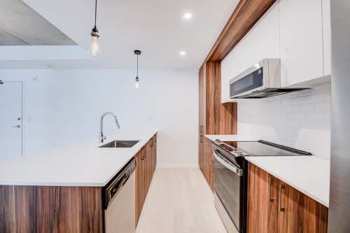 Cuisine - 315-3155 Av. Parkville, Montréal (Mercier/Hochelaga-Maisonneuve), QC - Indoor Photo Showing Kitchen With Upgraded Kitchen