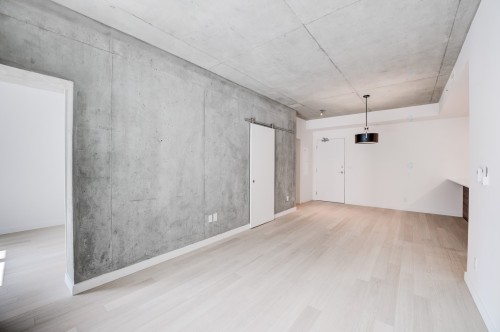 Salon - 315-3155 Av. Parkville, Montréal (Mercier/Hochelaga-Maisonneuve), QC - Indoor Photo Showing Other Room