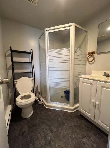 Bathroom - 335B Rue Spring Garden, Dollard-Des-Ormeaux, QC - Indoor Photo Showing Bathroom