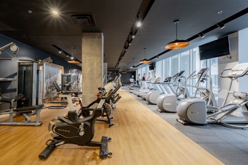 Salle d'exercice - 835-700 Rue St-Paul O., Montréal (Ville-Marie), QC - Indoor Photo Showing Gym Room