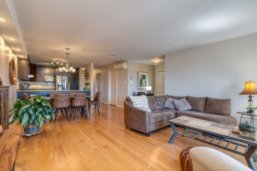 Living Room - 3-8201 10E Avenue, Montréal (Villeray/Saint-Michel/Parc-Extension), QC - Indoor Photo Showing Living Room