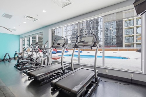 Salle d'exercice - 323-1200 Rue St-Alexandre, Montréal (Ville-Marie), QC - Indoor Photo Showing Gym Room