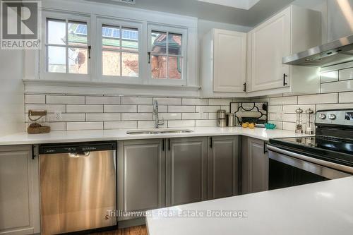 Unit A - 54 Park Street, Kitchener, ON - Indoor Photo Showing Kitchen With Double Sink