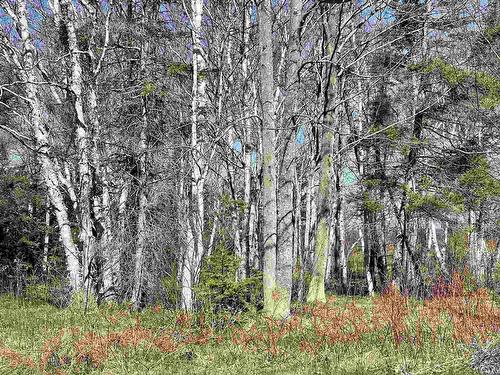 Lot 18 Millbrook Rise, Antigonish, NS 