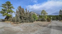 4963 Spruce Avenue  Canal Flats, BC V0B 1B0