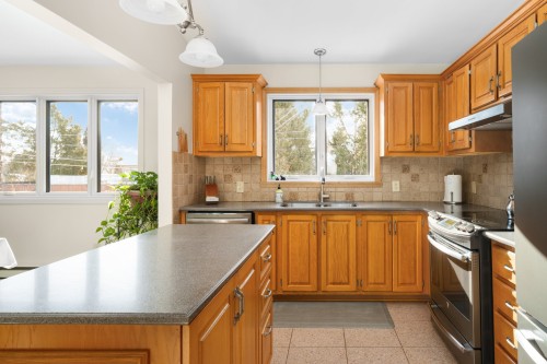 Cuisine - 37 Place Leclerc, Kirkland, QC - Indoor Photo Showing Kitchen With Double Sink