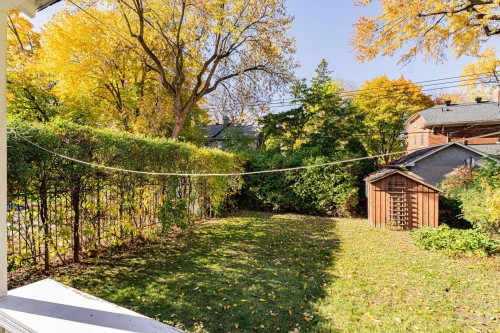Cour - 149 Av. Cornwall, Mont-Royal, QC - Outdoor