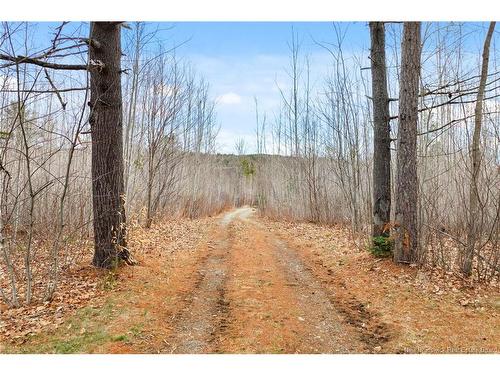 1832 Route 105, Southampton, NB 