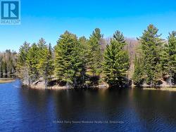 123 520 HIGHWAY Whitestone (Dunchurch), ON P0A 1G0