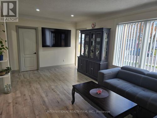 731 Knox Avenue, Hamilton, ON - Indoor Photo Showing Living Room
