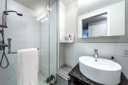 Salle de bains - 60-4850 Ch. De La Côte-St-Luc, Montréal (Côte-Des-Neiges/Notre-Dame-De-Grâce), QC - Indoor Photo Showing Bathroom