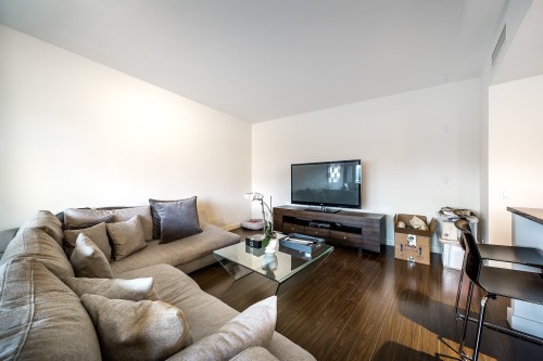 Salon - 60-4850 Ch. De La Côte-St-Luc, Montréal (Côte-Des-Neiges/Notre-Dame-De-Grâce), QC - Indoor Photo Showing Living Room