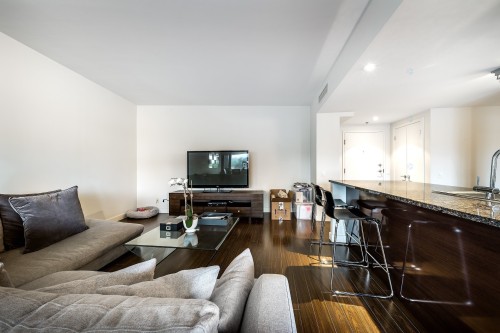 Salon - 60-4850 Ch. De La Côte-St-Luc, Montréal (Côte-Des-Neiges/Notre-Dame-De-Grâce), QC - Indoor Photo Showing Living Room