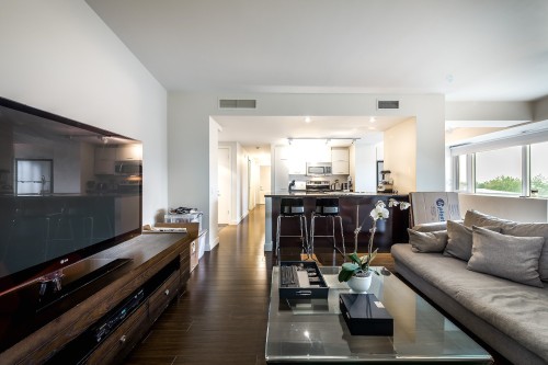 Salon - 60-4850 Ch. De La Côte-St-Luc, Montréal (Côte-Des-Neiges/Notre-Dame-De-Grâce), QC - Indoor Photo Showing Living Room