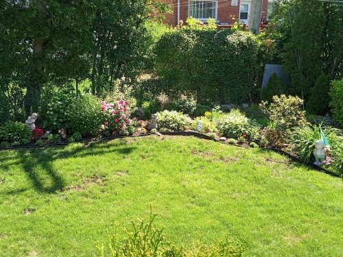 Cour - 759 Av. Devonshire, Laval (Chomedey), QC - Outdoor