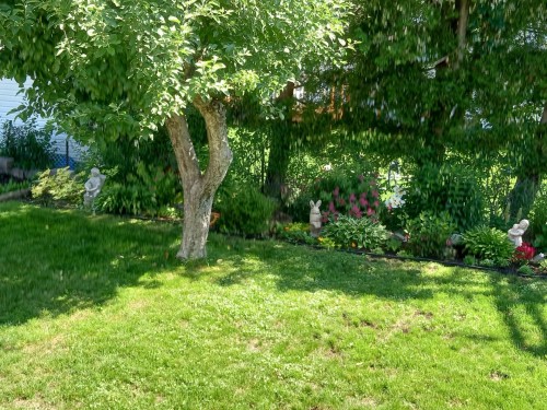 Cour - 759 Av. Devonshire, Laval (Chomedey), QC - Outdoor