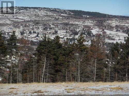 56 Columbus Drive, Carbonear, NL 